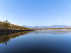 -野鸭湖国家湿地公园