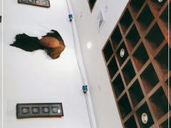 -湘肠香火锅店(团结湖店)