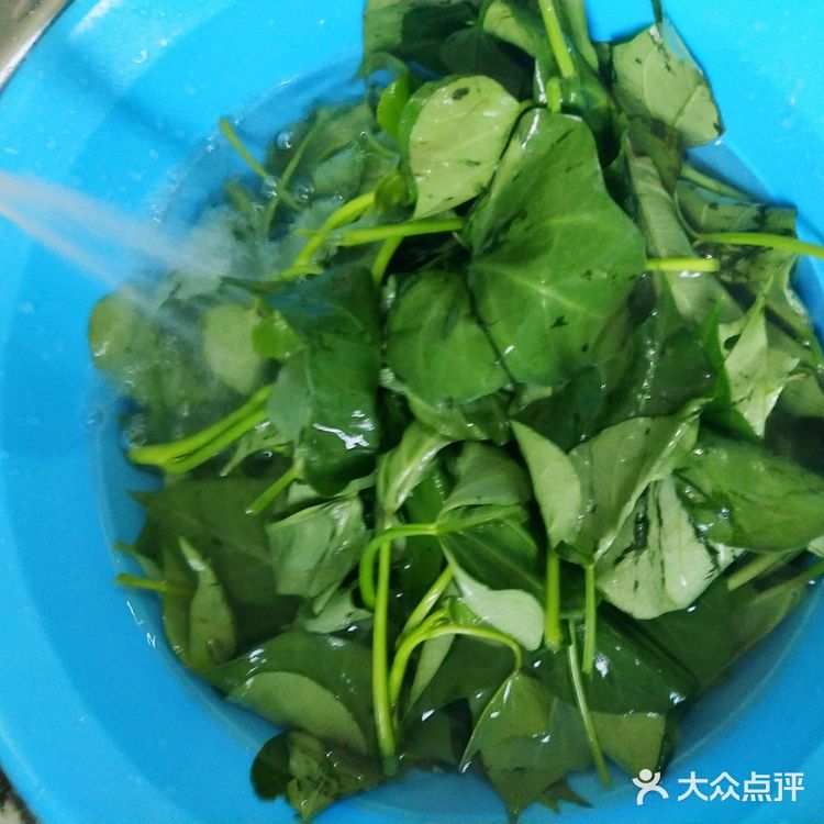 来个炒地瓜叶提高免疫力吧!