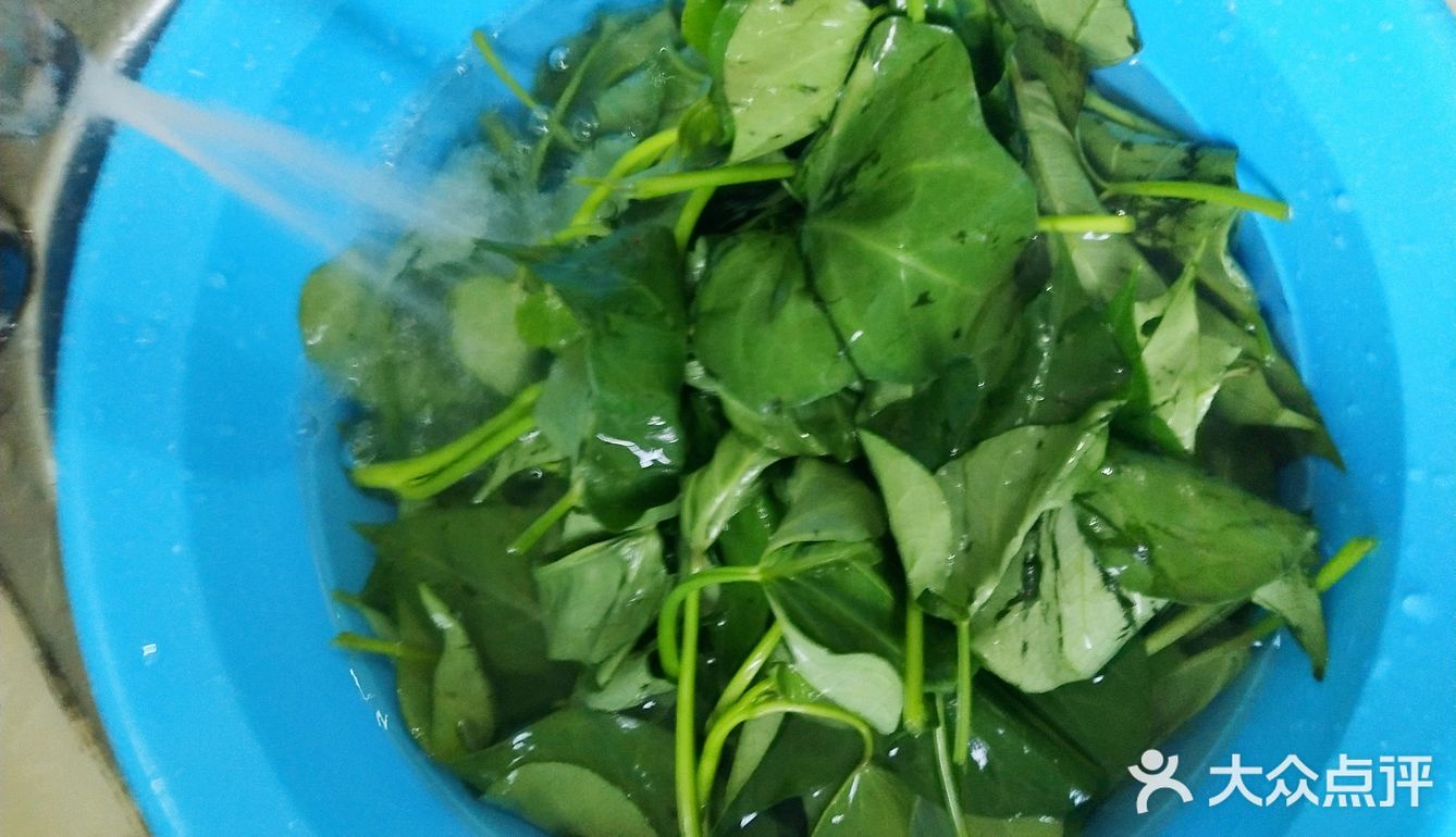 来个炒地瓜叶提高免疫力吧！