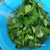 来个炒地瓜叶提高免疫力吧！