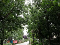 -三圣花乡旅游区