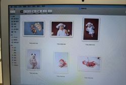 -西瓜庄园儿童摄影