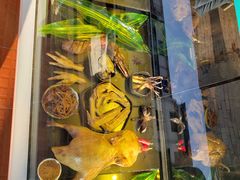 -但家香酥鸭(花溪民主路店)