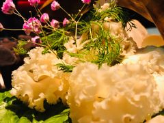 鲜活体菌组合-大隐·成都火锅Bistro(合生麒麟新天地店)