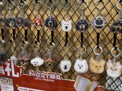 -和它·交个朋友·狗咖猫咖(爱琴海店)
