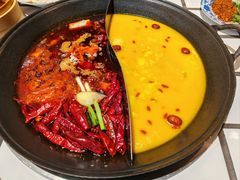 -朱光玉火锅馆(正弘城店)