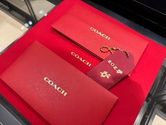 -COACH蔻驰(双安商场店)