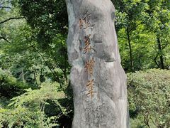 -杭州半山国家森林公园