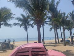 -玫瑰海岸文化旅游度假区