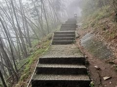-长沙黑麋峰国家森林公园