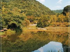 -桃花岭景区