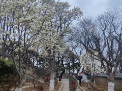 -崂山仰口游览区