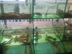 -凯华海鲜火锅·传承三十六年