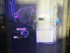 -日本科学未来馆