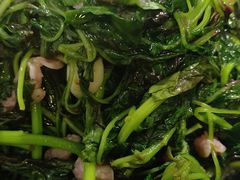 -陈厨老家菜馆(新苑店)