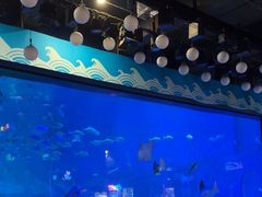 -烟台海昌鲸鲨海洋公园