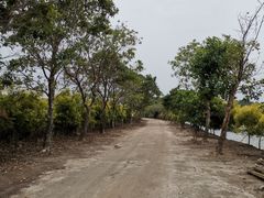 -大湾区中央湿地公园