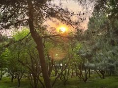 -长辛店二七公园