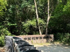 -西湖风景区-江洋畈生态公园