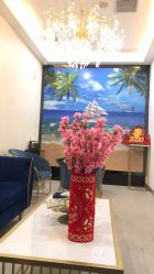 -DEM缔怡美科技美容