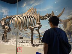 -国家自然博物馆