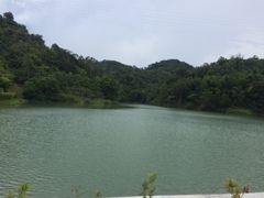 -中山市树木园