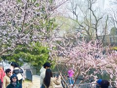 -安定门(地铁站)