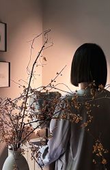 -IP SALON
