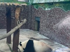 -黔灵山公园