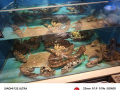 -鲜鲜·鲅鱼圈海鲜(于洪店)