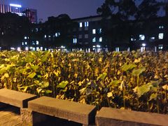 -四川大学(望江校区)