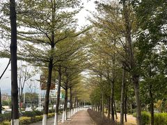 -灵玲国际马戏城