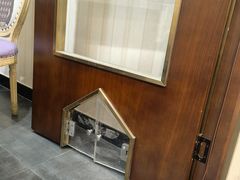-宠爱国际动物医院·疑难骨科·心肾内科·皮肤科(太阳宫店)