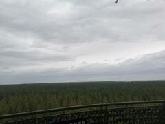 -黄海国家森林公园