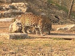 -北京野生动物园