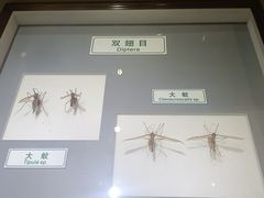 -上海昆虫博物馆