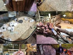 -正佳雨林生态植物园