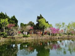 -无锡蠡湖国家湿地公园-蠡园