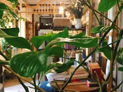 -斯多格书乡(北京大学畅春园店)