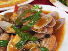 -蛇口康乐快餐鱼仔档(翠苑小区店)