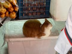 -正宗杂粮煎饼香软鸡蛋饼