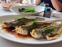 黄鱼-望海湾海鲜楼·海鲜(河南路店)