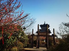 -杭州半山国家森林公园