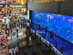 -成都浩海立方海洋公园