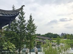 -眉山湿地公园(东坡区)