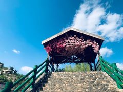 -沂蒙云瀑洞天景区