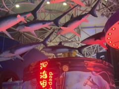 -烟台海昌鲸鲨海洋公园