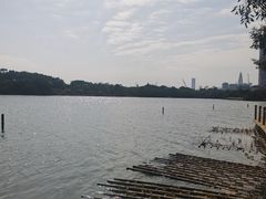 -华侨城湿地公园