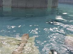-碧水湾温泉